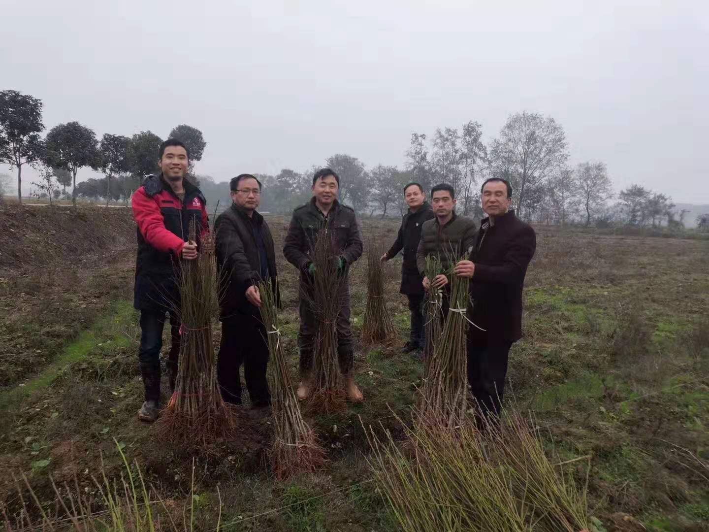 積極參與扶貧攻堅戰，樹人公司在行動