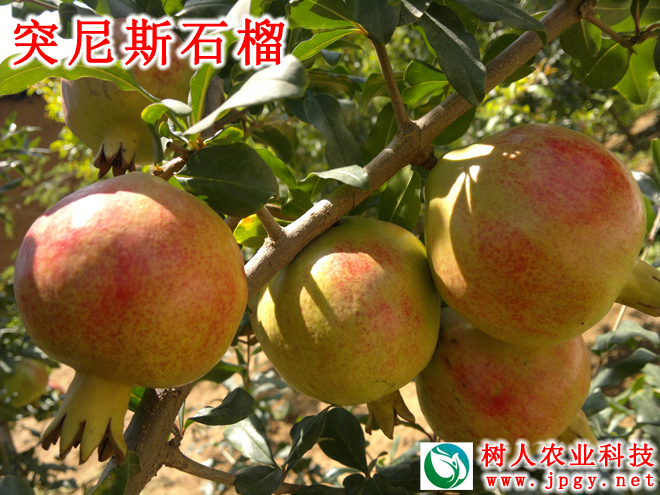 常德市萬路達(dá)物流股份有限公司,常德危險品運(yùn)輸服務(wù),普貨運(yùn)輸服務(wù),物流生活服務(wù)哪里好