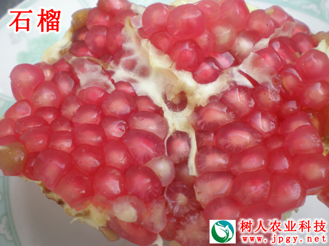 常德市萬路達(dá)物流股份有限公司,常德危險品運(yùn)輸服務(wù),普貨運(yùn)輸服務(wù),物流生活服務(wù)哪里好