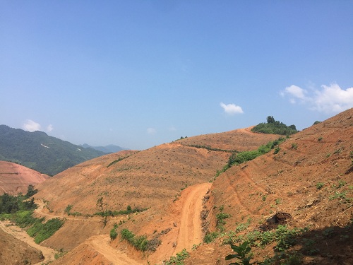 彩色油菜花的研究與開發(fā)推廣